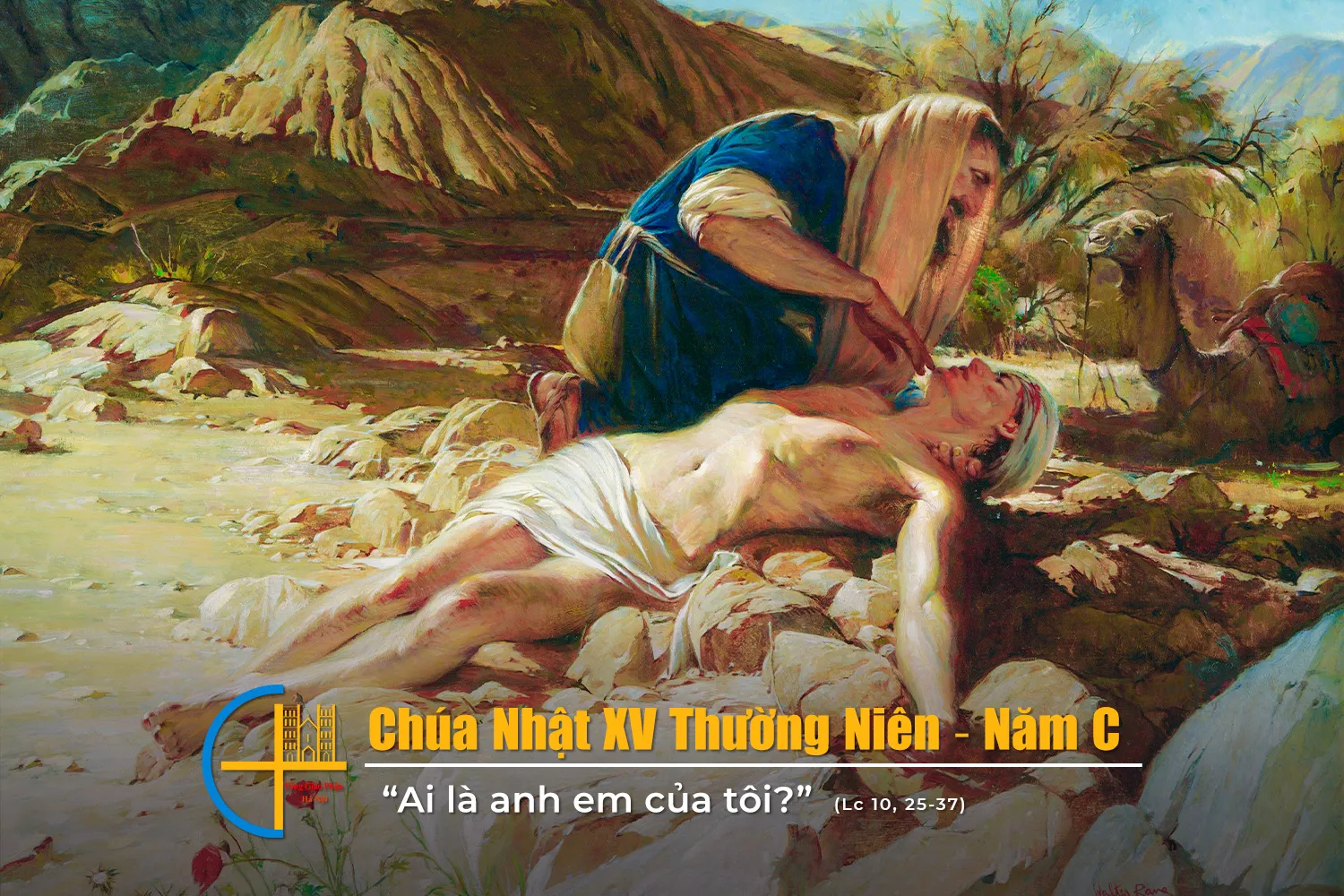 Chúa Nhật XV Thường Niên – Năm C