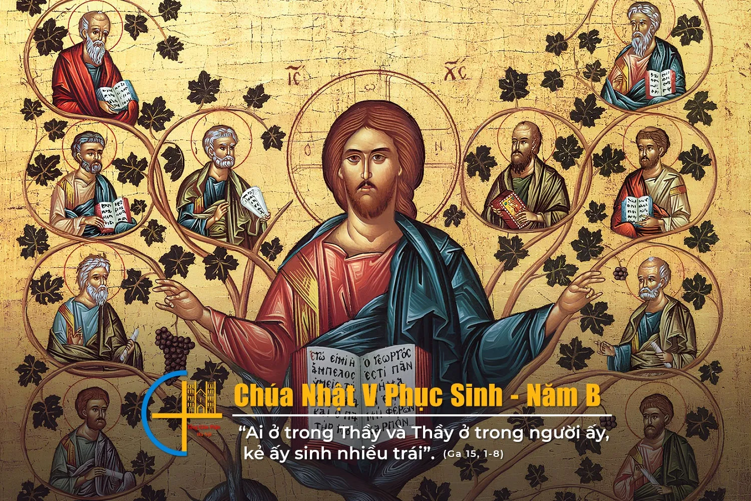 Chúa Nhật V Phục Sinh – Năm B