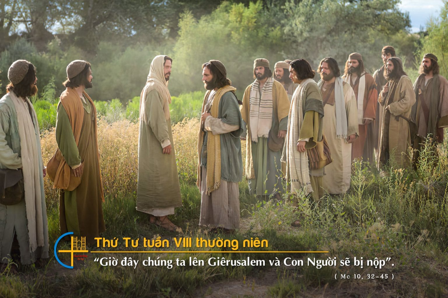 Thứ Tư tuần VIII thường niên